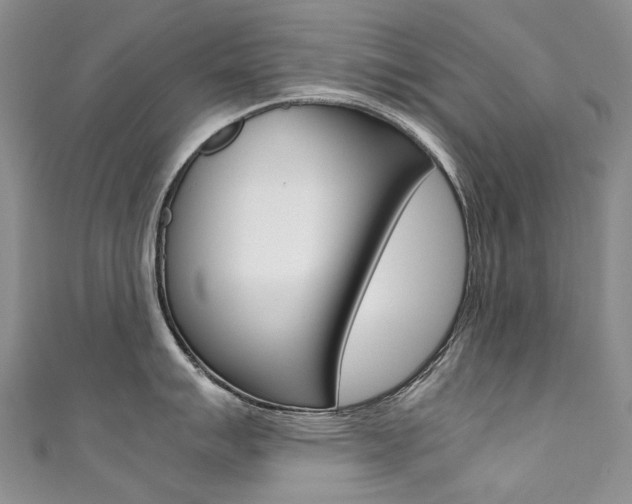X0000111371007200907101013