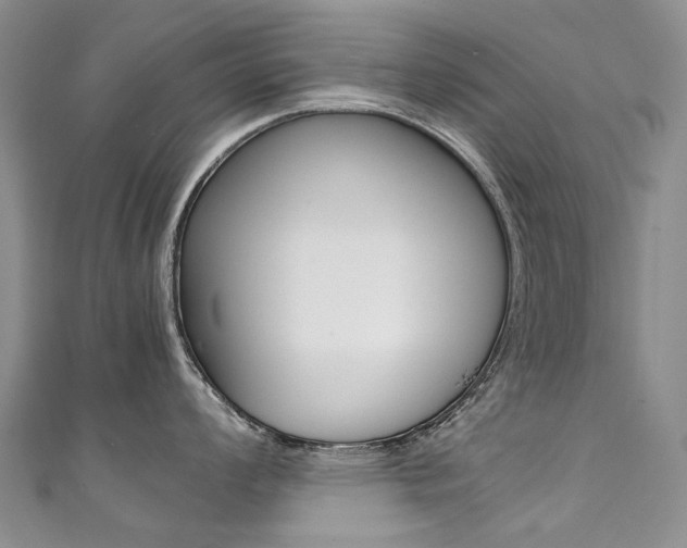X0000111371008200907101013