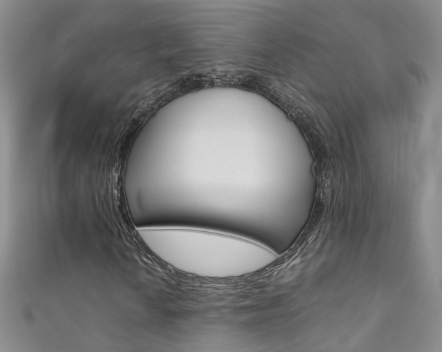 X0000111371010200907101012