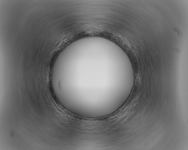 X0000111371012200907101012