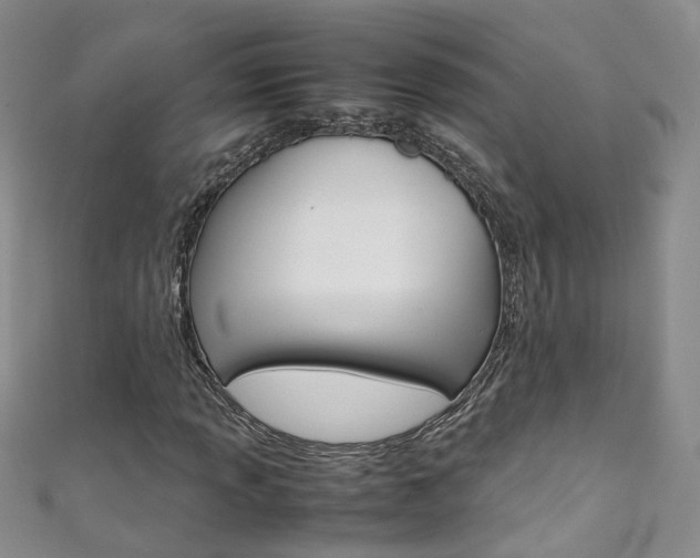 X0000111371013200907101012