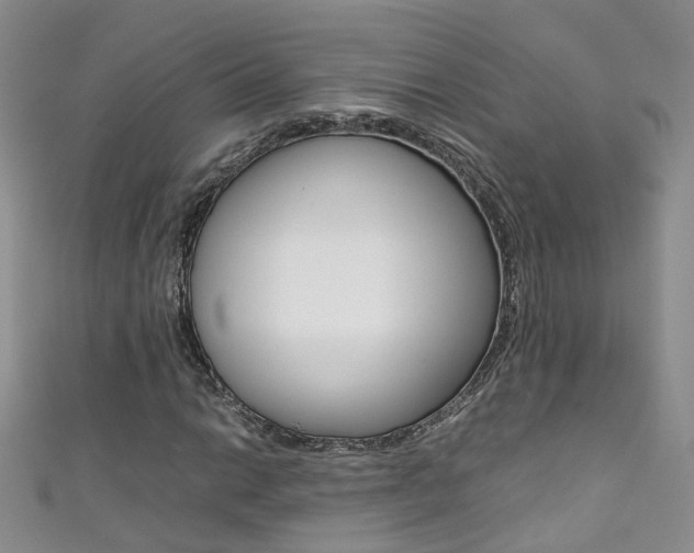 X0000111371014200907101012