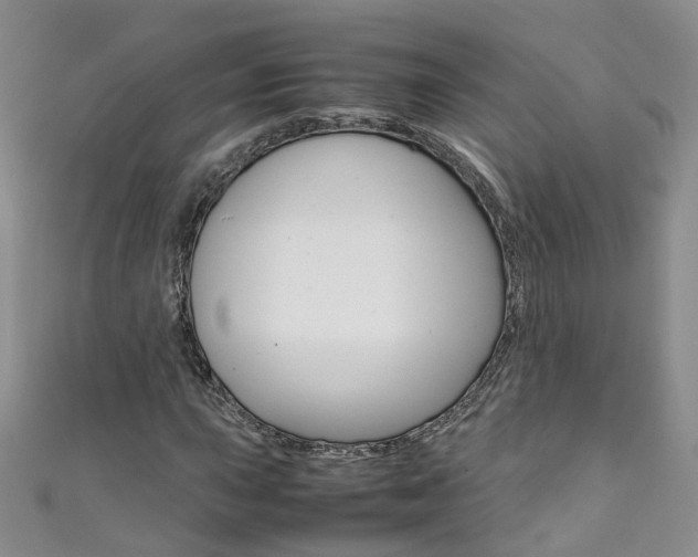 X0000111371015200907101012