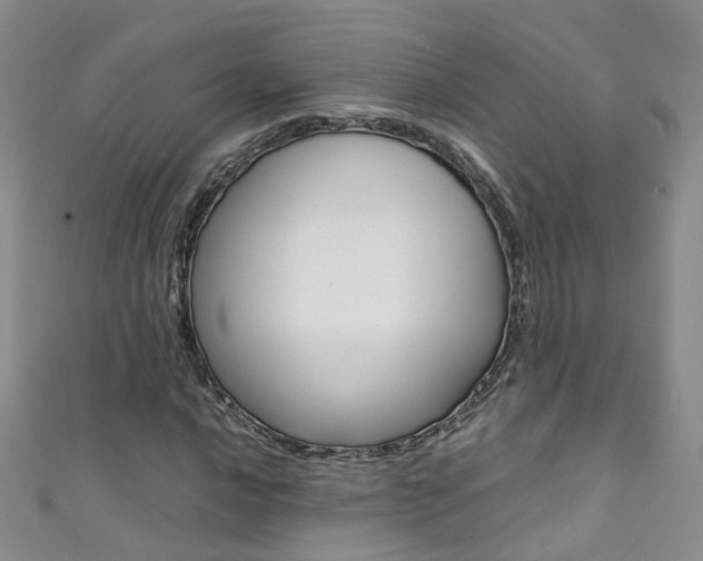 X0000111371016200907101012