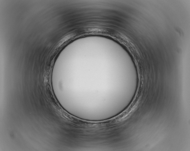 X0000111371017200907101012