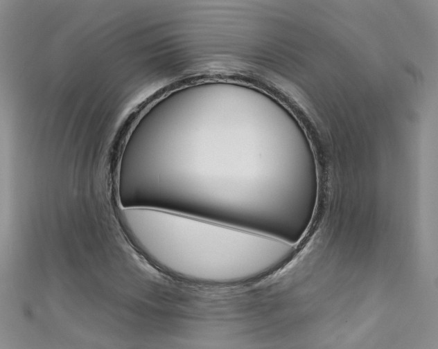 X0000111371018200907101012