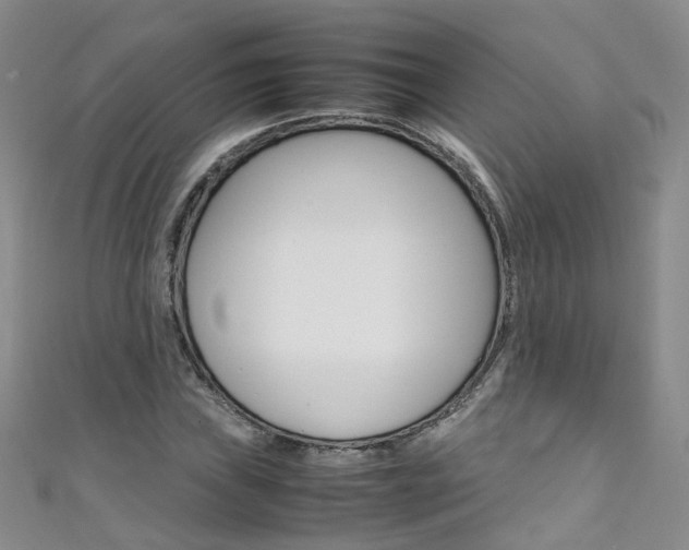 X0000111371019200907101012