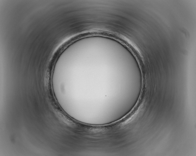 X0000111371021200907101013