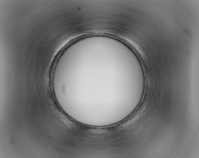 X0000111371023200907101013