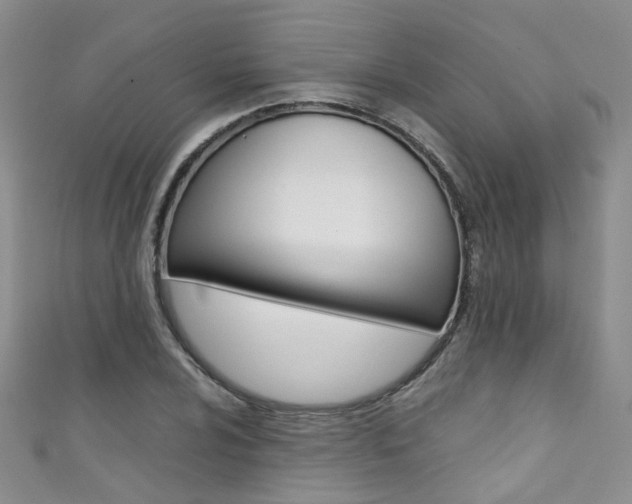 X0000111371024200907101013