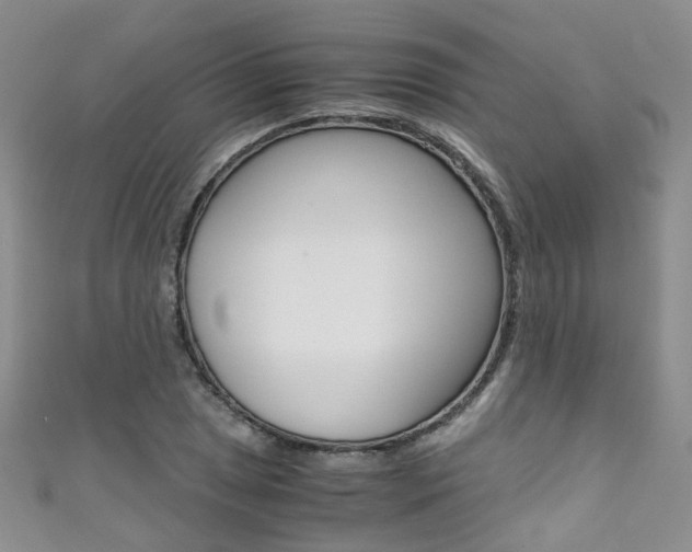 X0000111371025200907101013