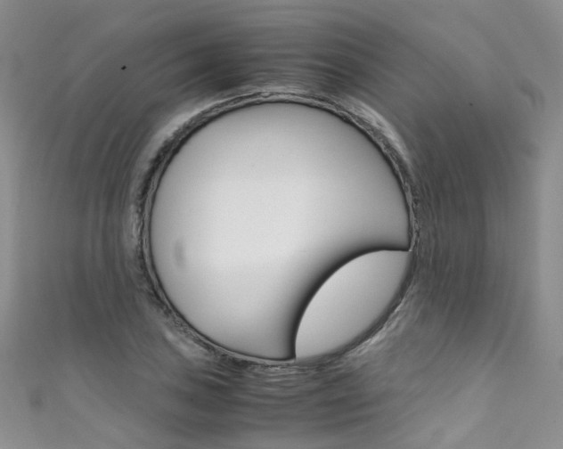 X0000111371027200907101013
