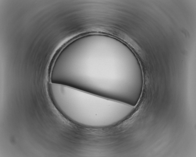 X0000111371028200907101013