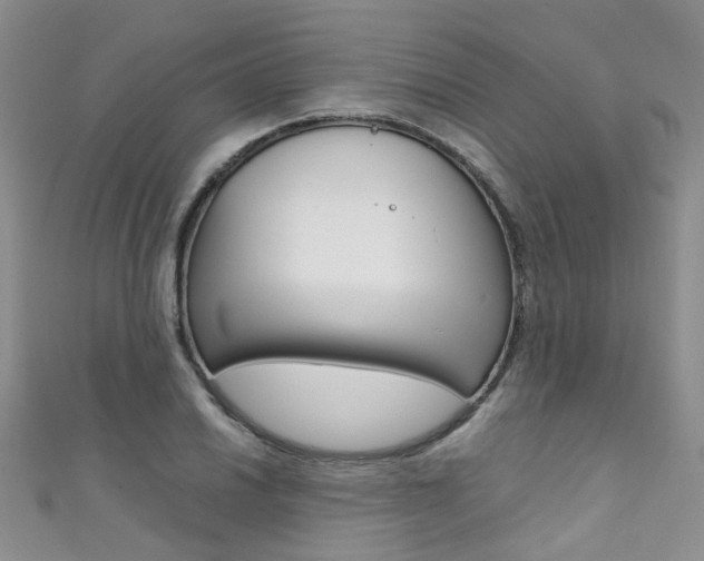 X0000111371030200907101013