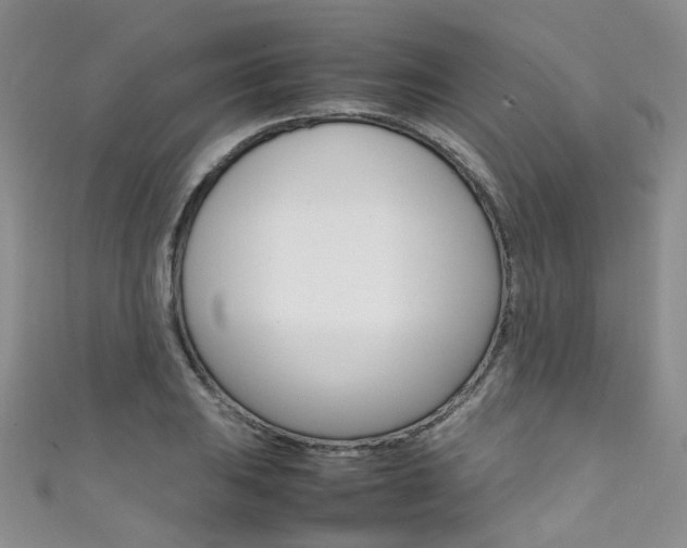 X0000111371031200907101013