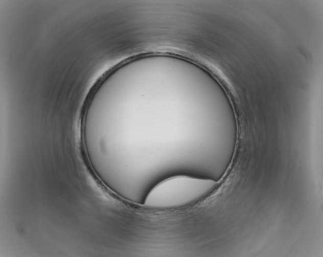 X0000111371032200907101013