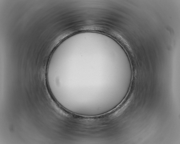 X0000111371033200907101013