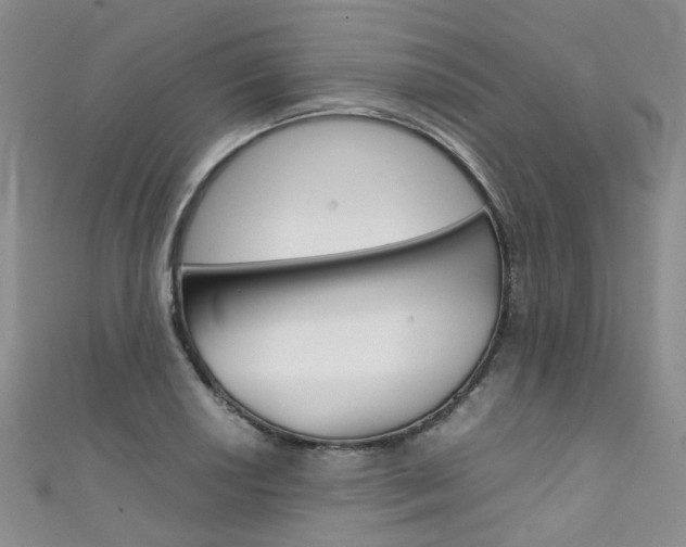 X0000111371034200907101013