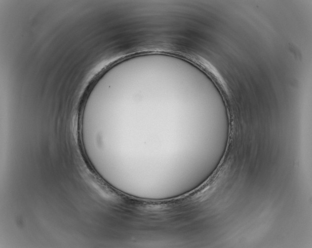 X0000111371035200907101013