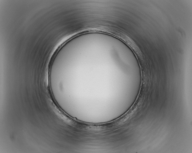 X0000111371036200907101013