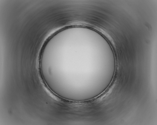 X0000111371037200907101013
