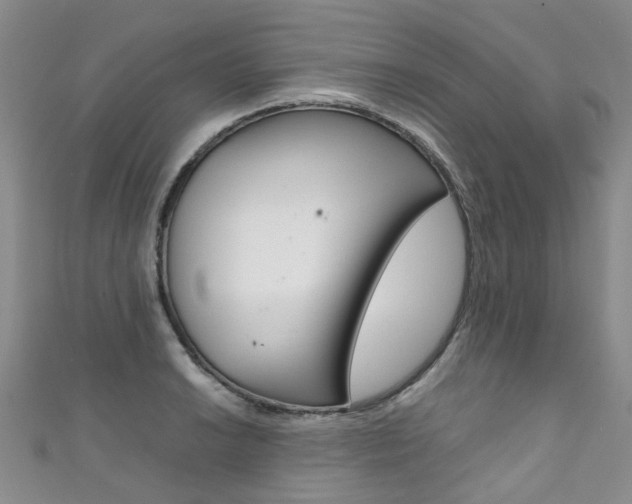 X0000111371038200907101013