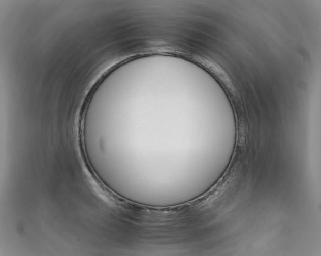 X0000111371039200907101013