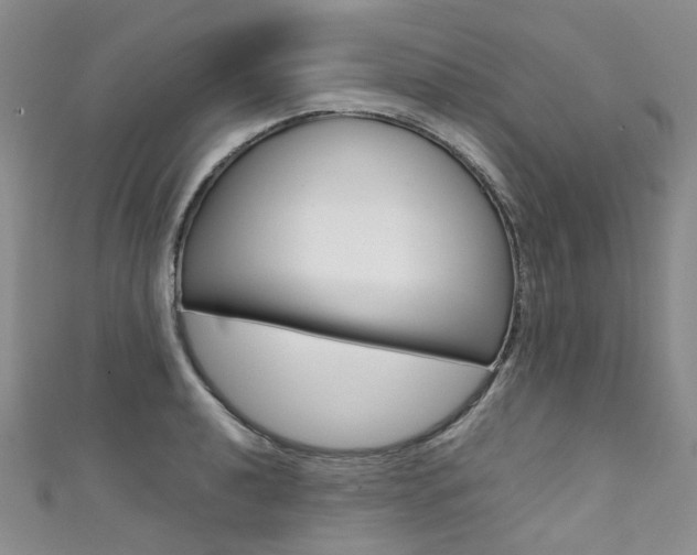 X0000111371040200907101013