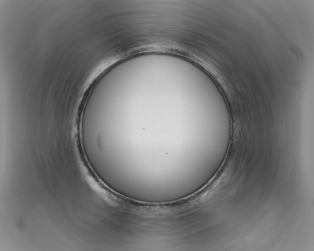 X0000111371042200907101013