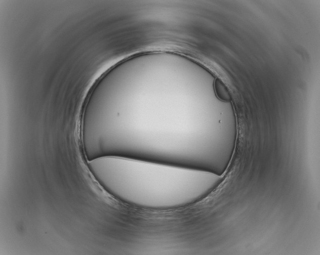 X0000111371044200907101013