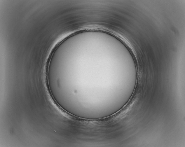 X0000111371045200907101013