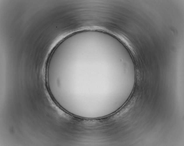 X0000111371046200907101013