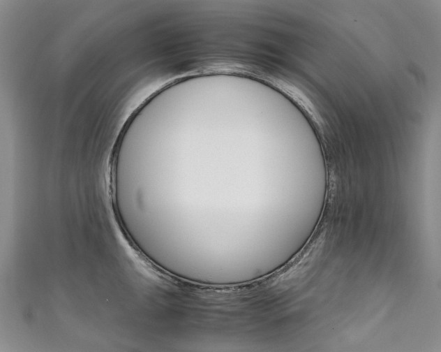X0000111371047200907101013