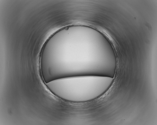 X0000111371048200907101013