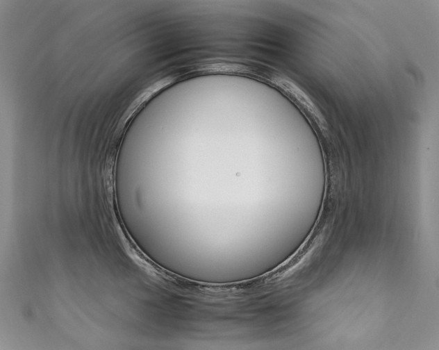 X0000111371049200907101013