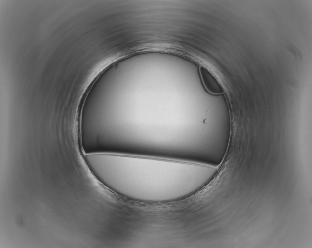 X0000111371050200907101013