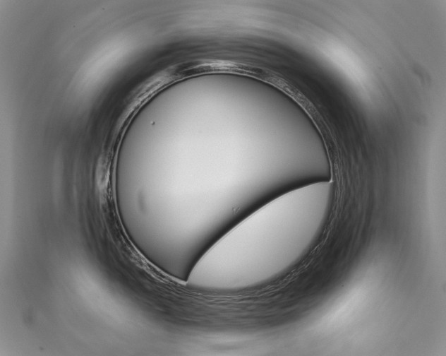 X0000111371052200907101013