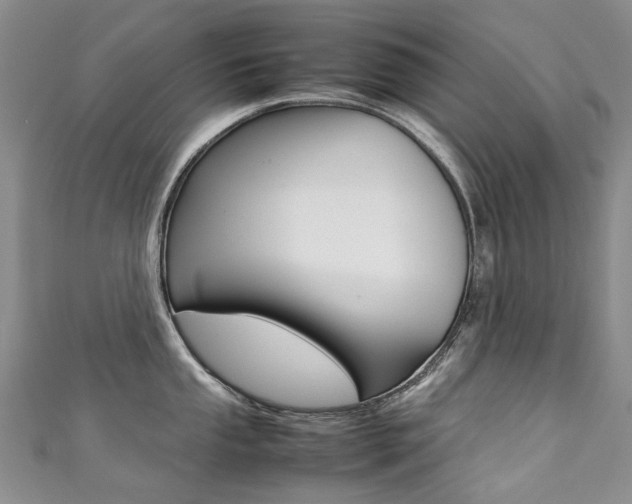 X0000111371053200907101013