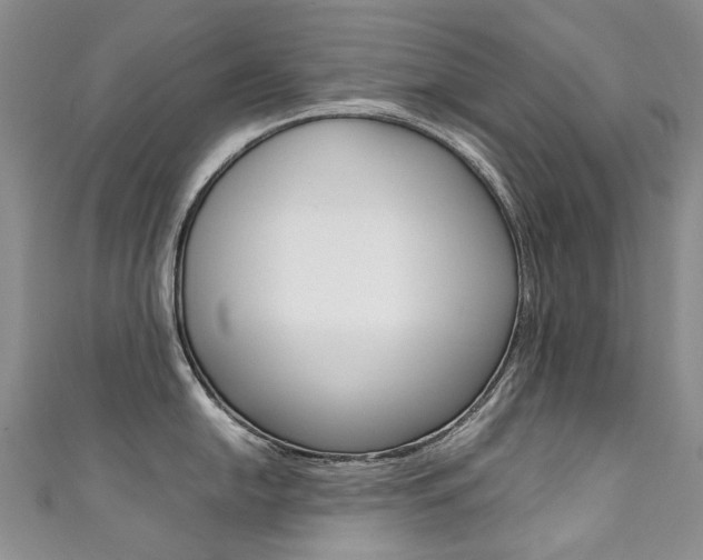 X0000111371054200907101013