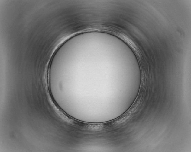 X0000111371055200907101013