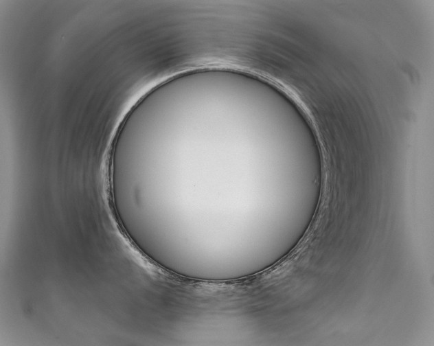 X0000111371056200907101013