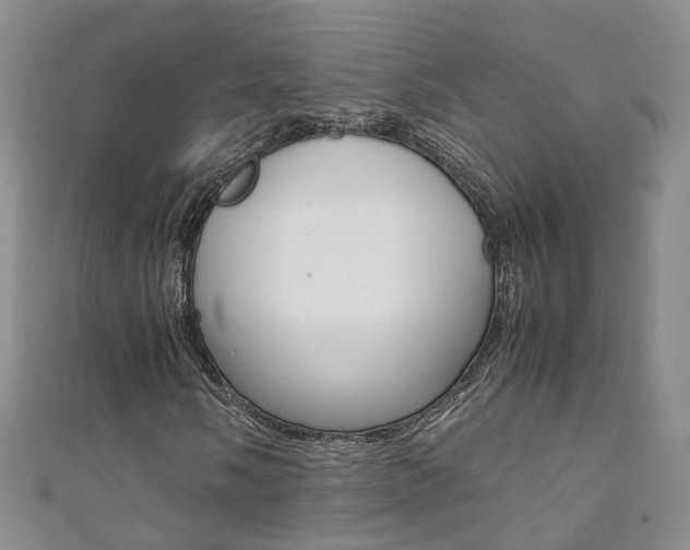 X0000111371058200907101012