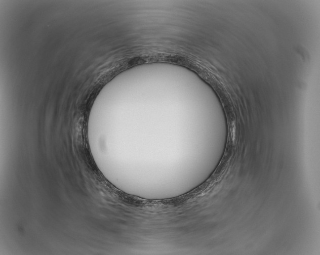 X0000111371059200907101012
