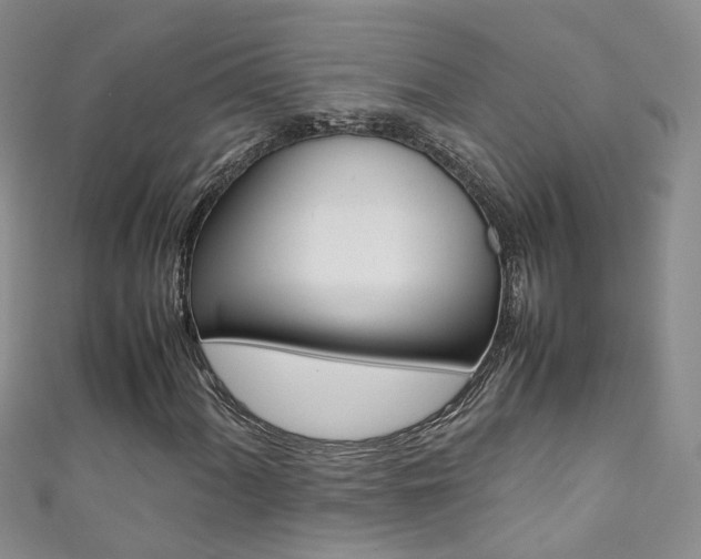 X0000111371060200907101012