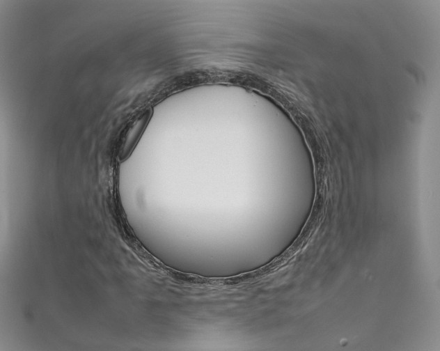 X0000111371061200907101012