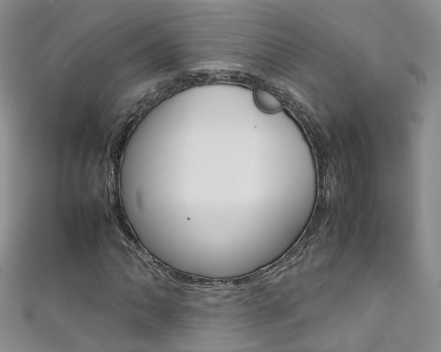 X0000111371062200907101012