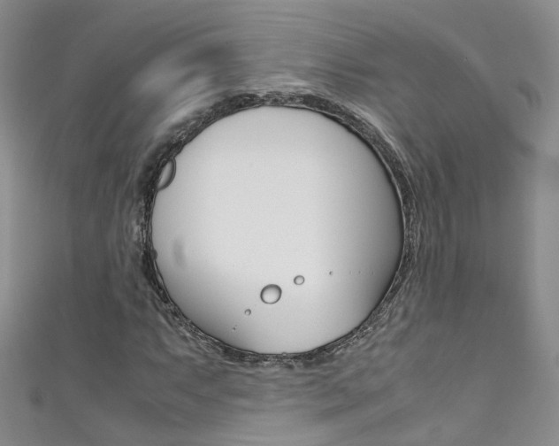 X0000111371063200907101012