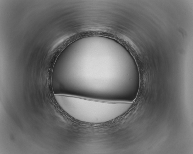 X0000111371064200907101012