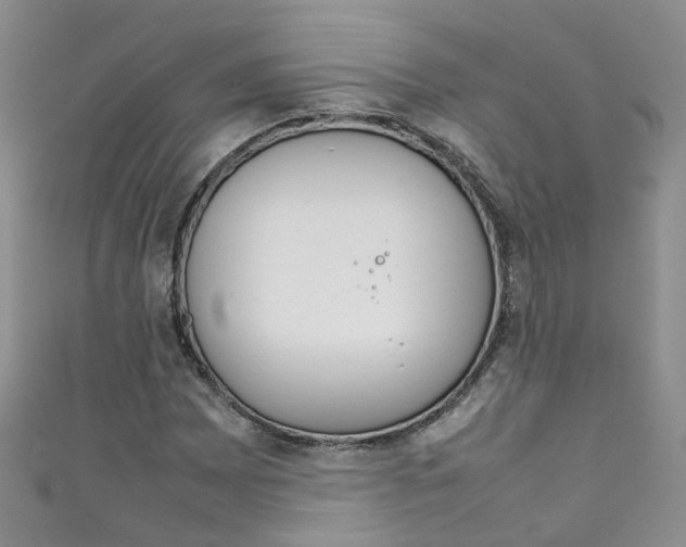 X0000111371065200907101012