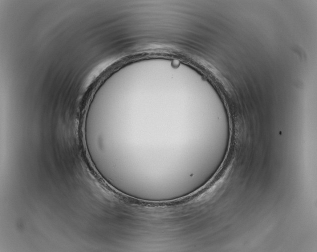 X0000111371066200907101012
